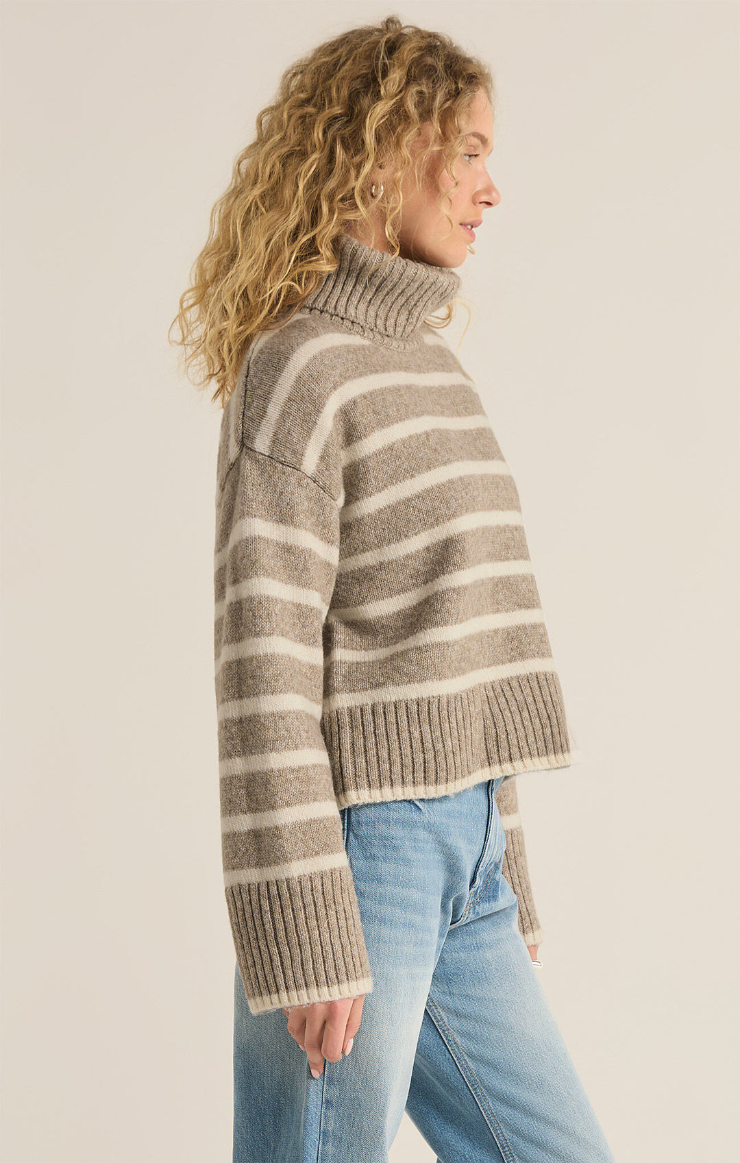 Z Supply Josephine Stripe Turtleneck Sweater