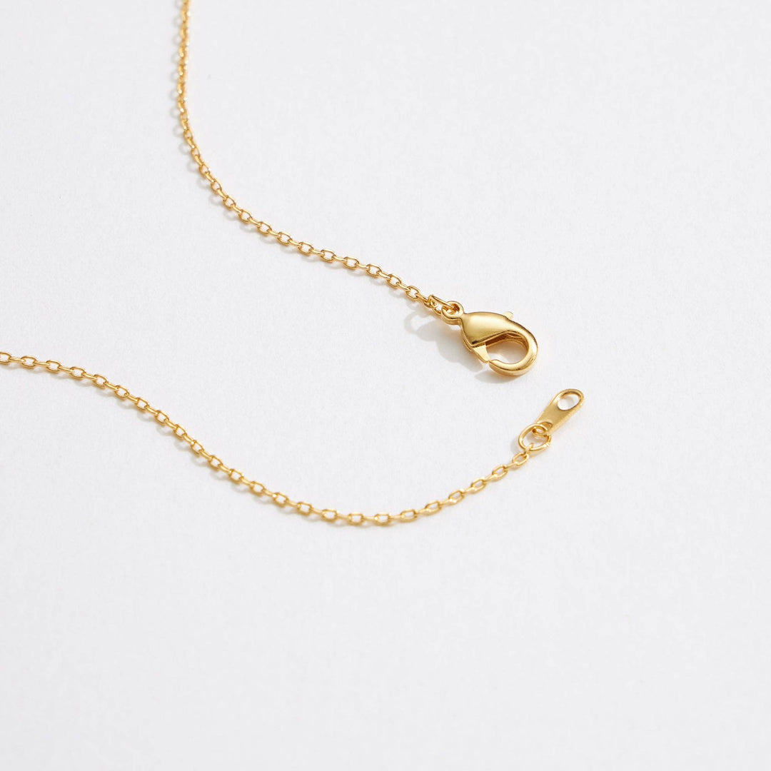 Simple Shine Necklace