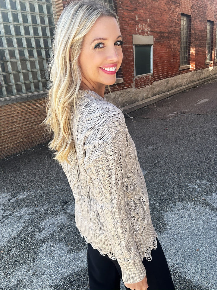 Charlie B Shimmering Charm Sweater