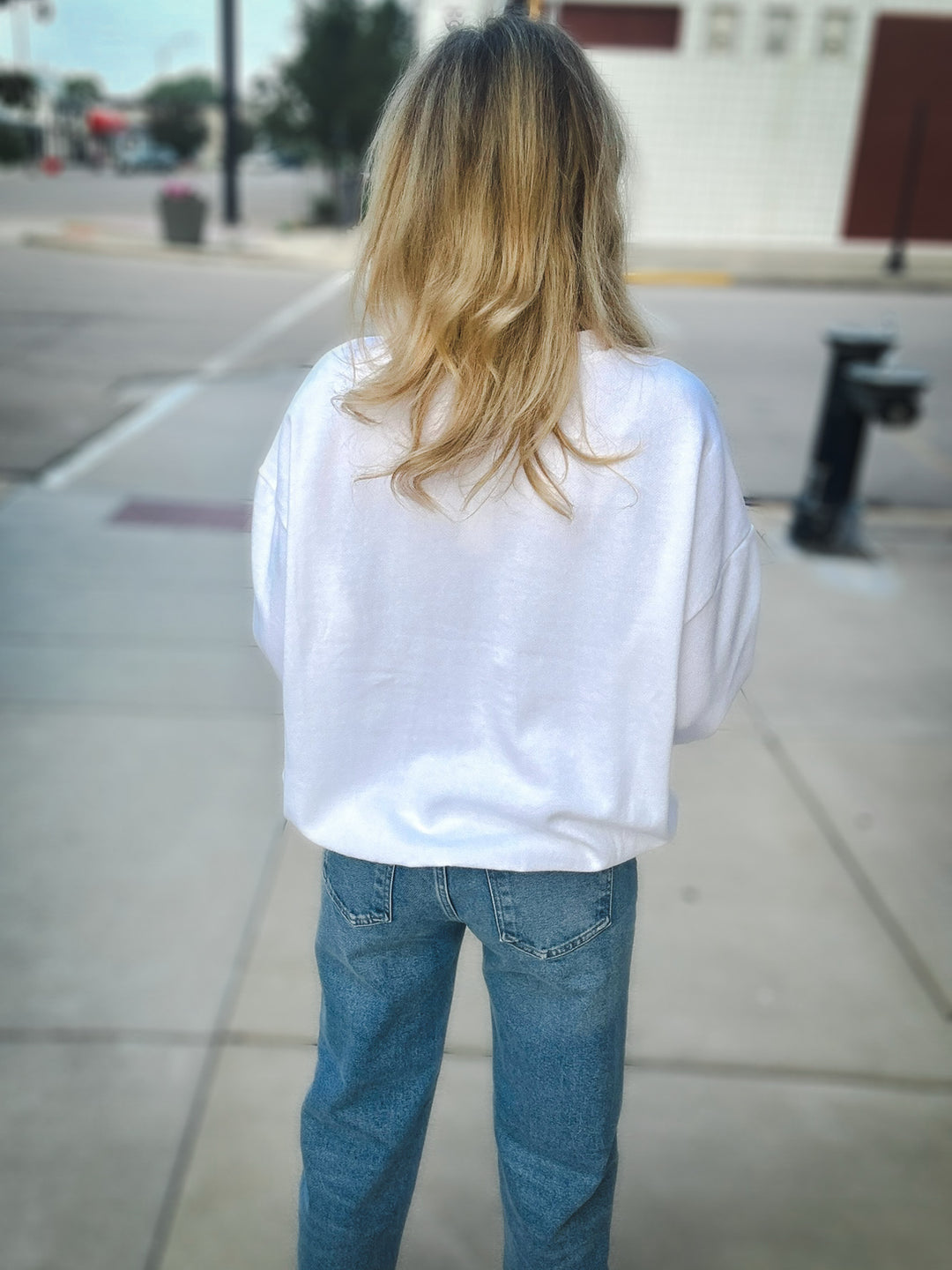 Z Supply Oversized USA Sweatshirt