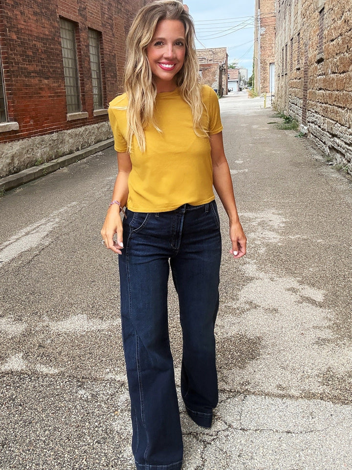 Joe's Jeans The Mia Paneled Trouser in Fascinate