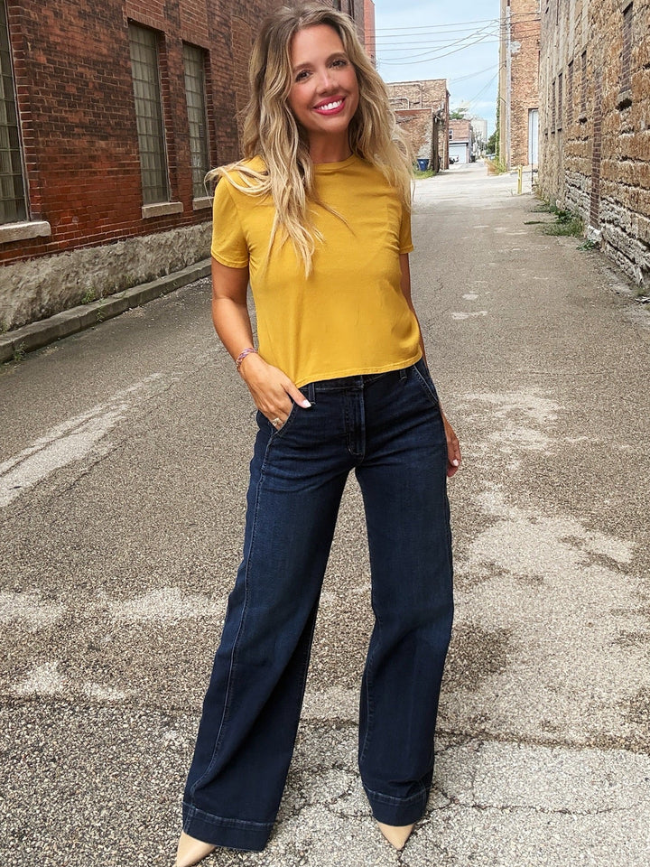 Joe's Jeans The Mia Paneled Trouser in Fascinate