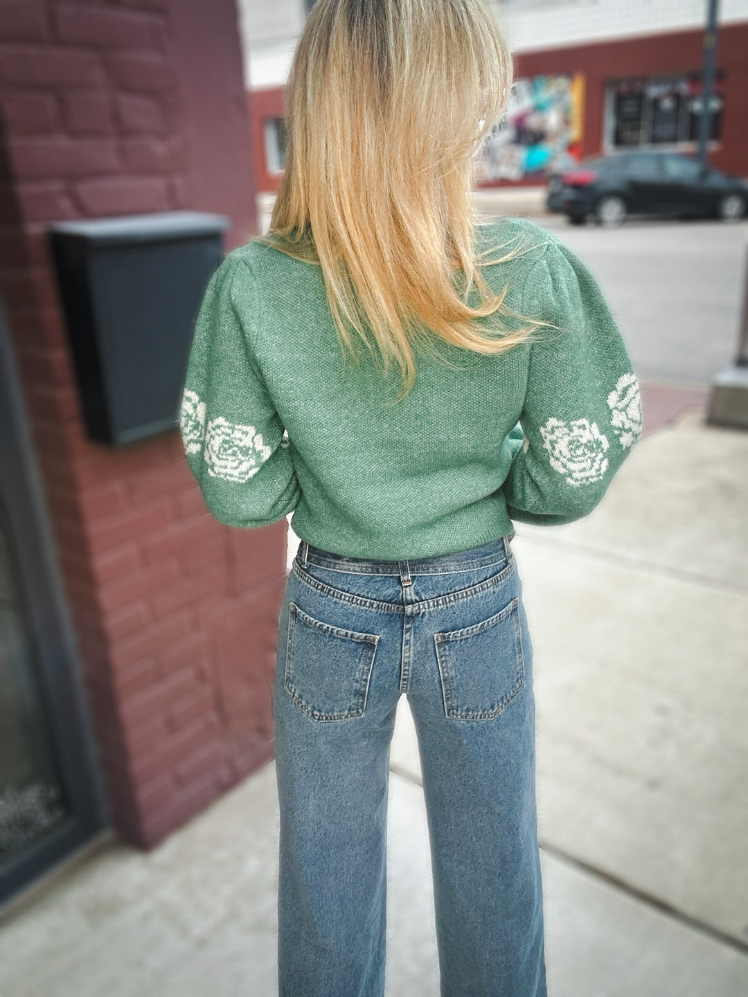 Saltwater Luxe Elima Sweater