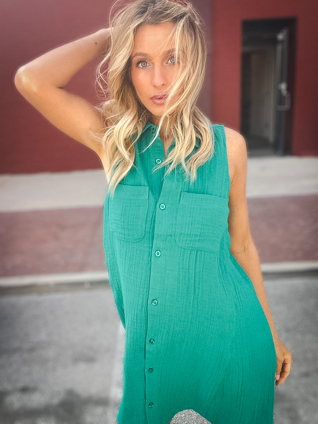 Z Supply New Light Mini Dress
