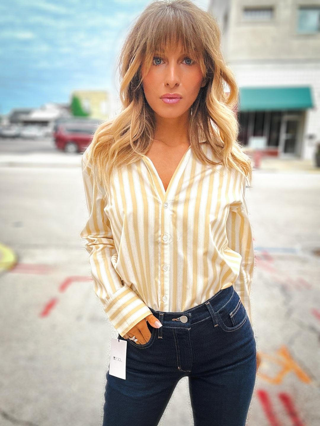 Z Supply Golden Haven Stripe Button Up