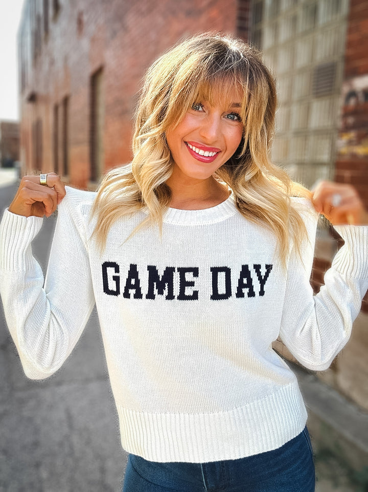 Z Supply Varsity Sand In Sweater