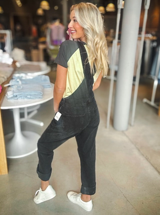 Free People Ziggy Denim Overall