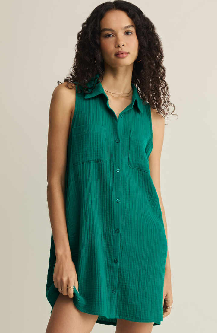 Z Supply New Light Mini Dress