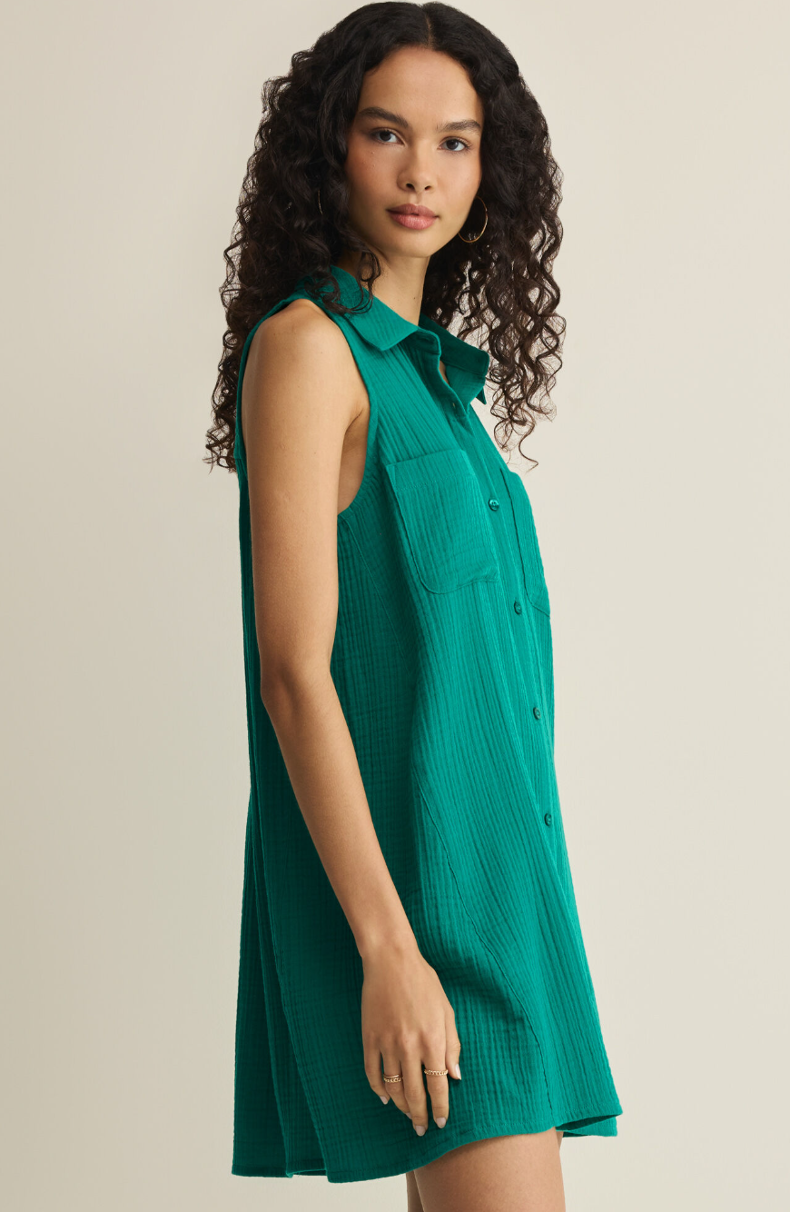 Z Supply New Light Mini Dress