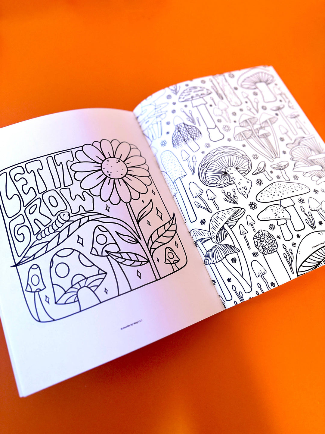 A Doodle Filled Coloring Book