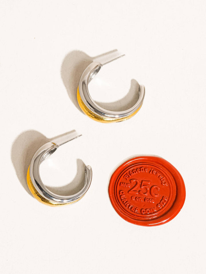 Double Vision Hoops