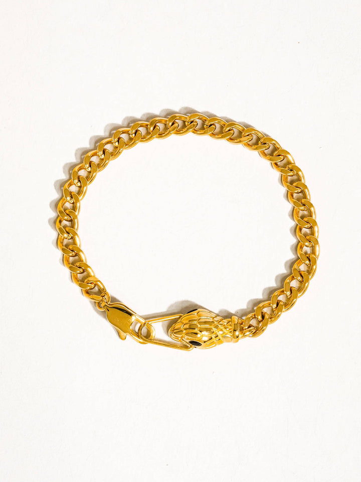 Strong Connection Bracelet