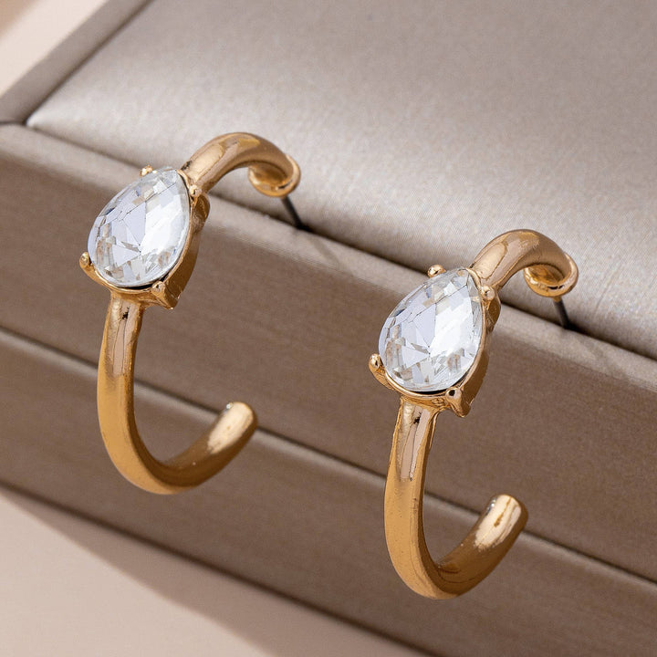 Crystal Orbit Hoop Earrings