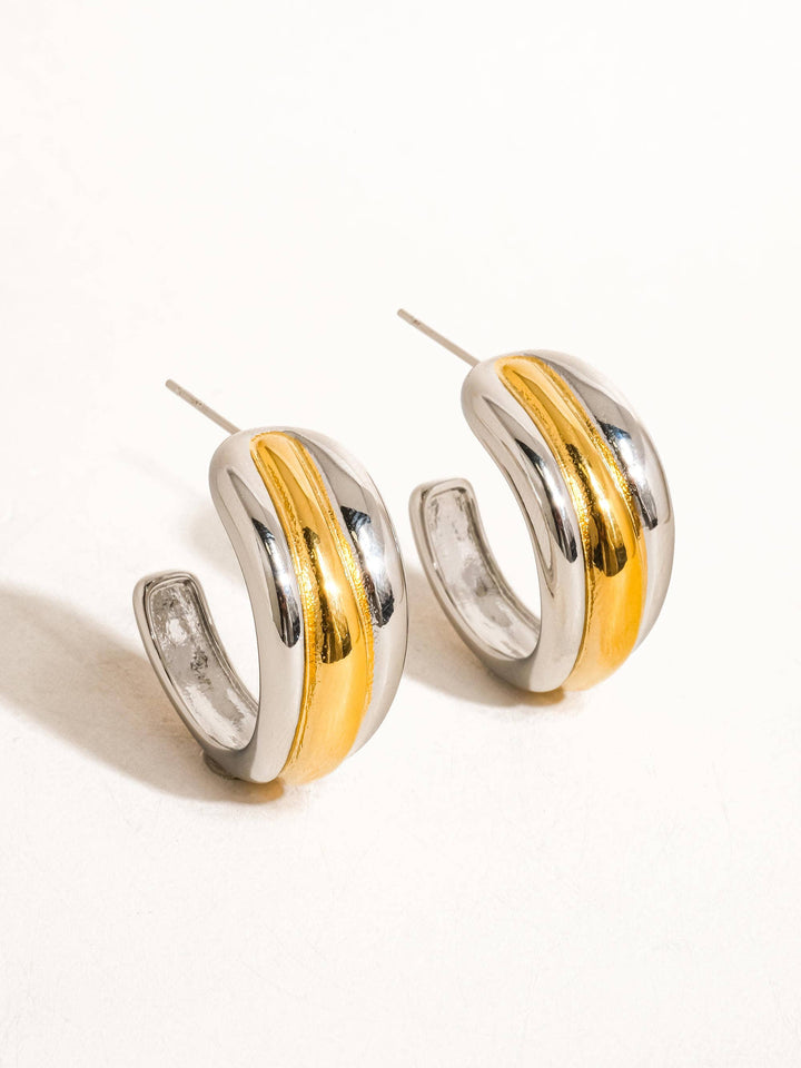 Double Vision Hoops