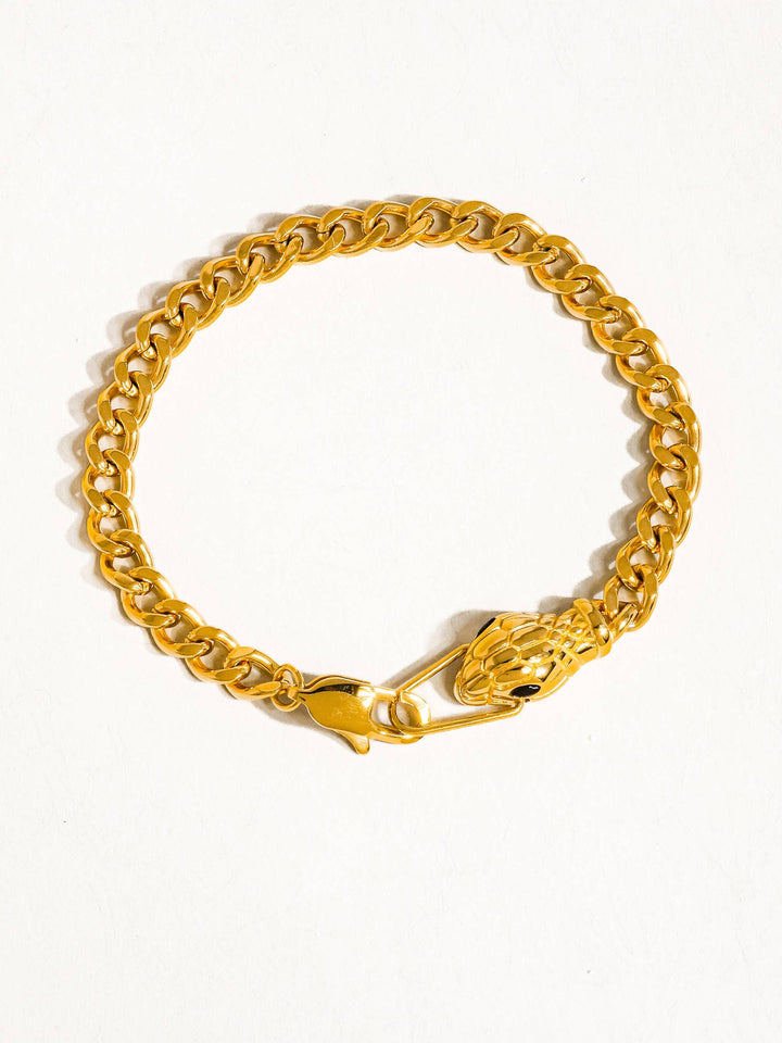 Strong Connection Bracelet
