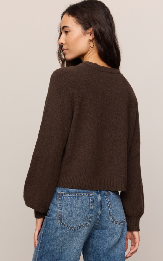 Z Supply Coming Up Sweater