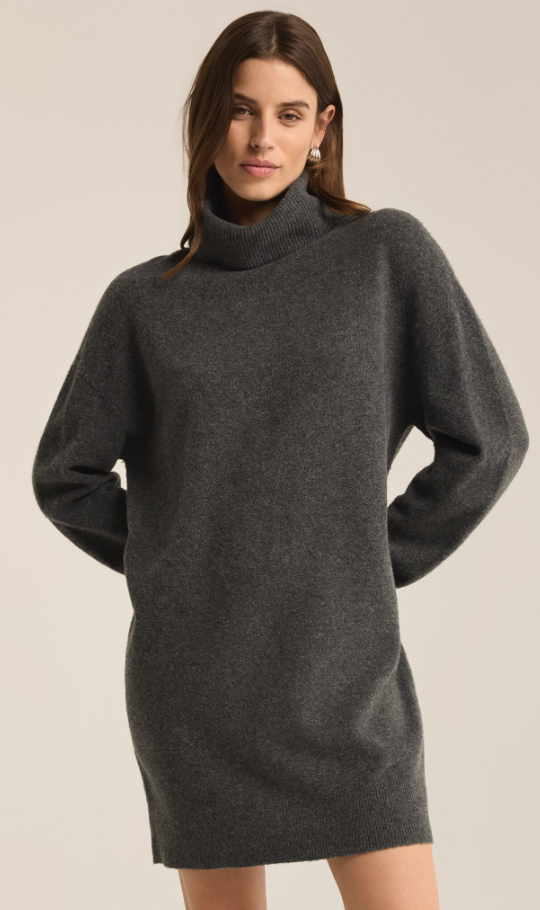 Z Supply Richie Sweater Dress