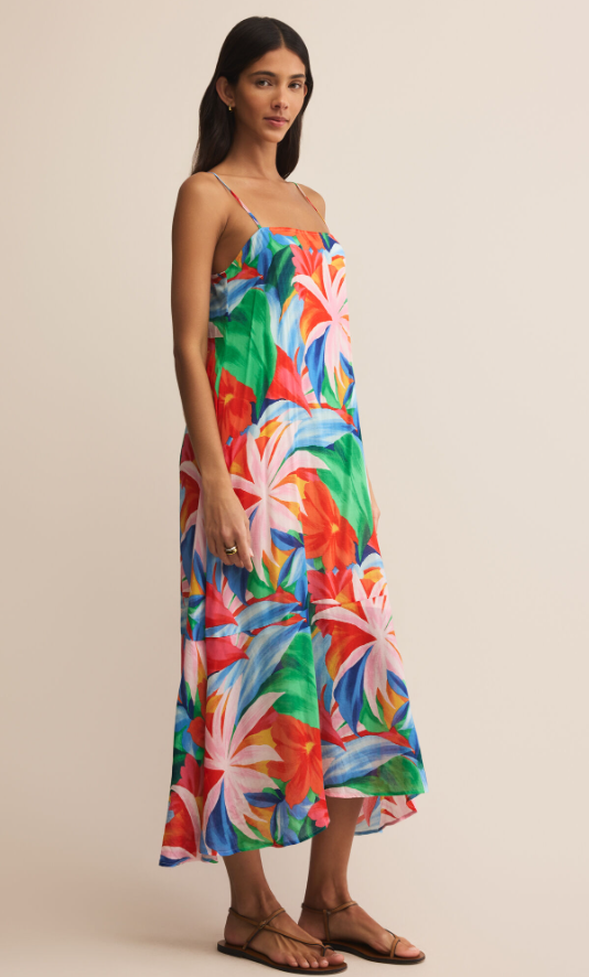 Z Supply Coast Villa Maxi Dress