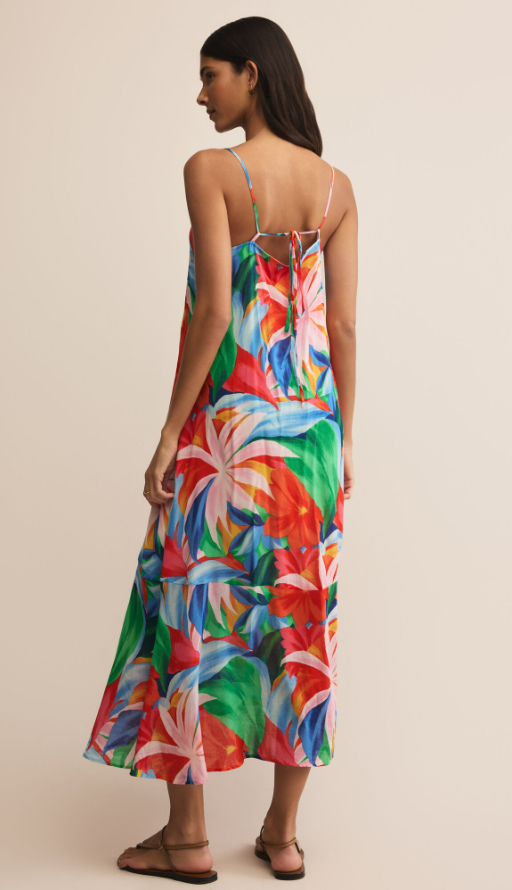 Z Supply Coast Villa Maxi Dress