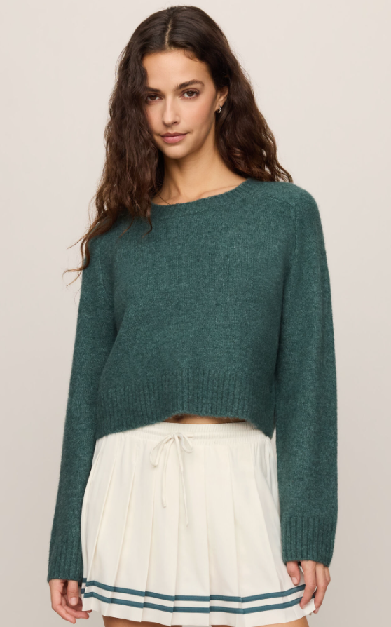 Z Supply Stand In Sweater