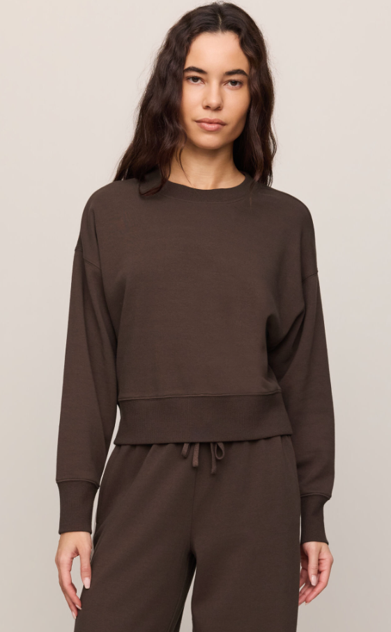 Z Supply Comeback Sweatshirt