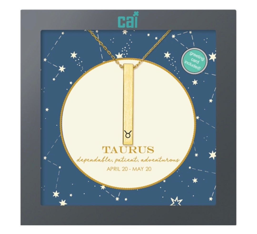 Secret Message Constellation Necklace