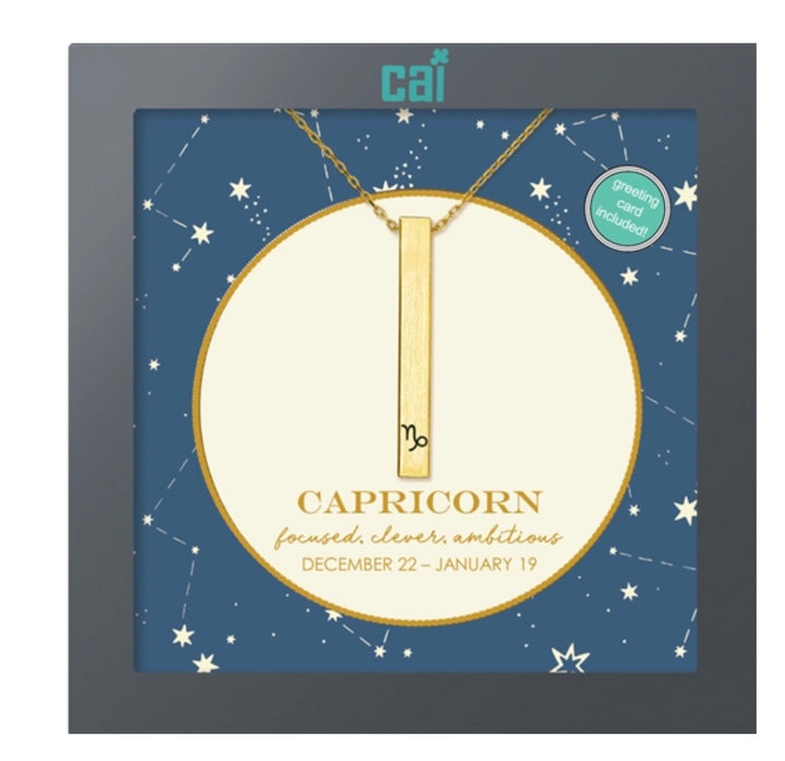 Secret Message Constellation Necklace