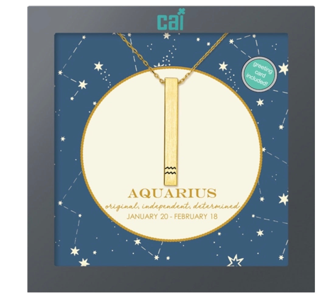 Secret Message Constellation Necklace