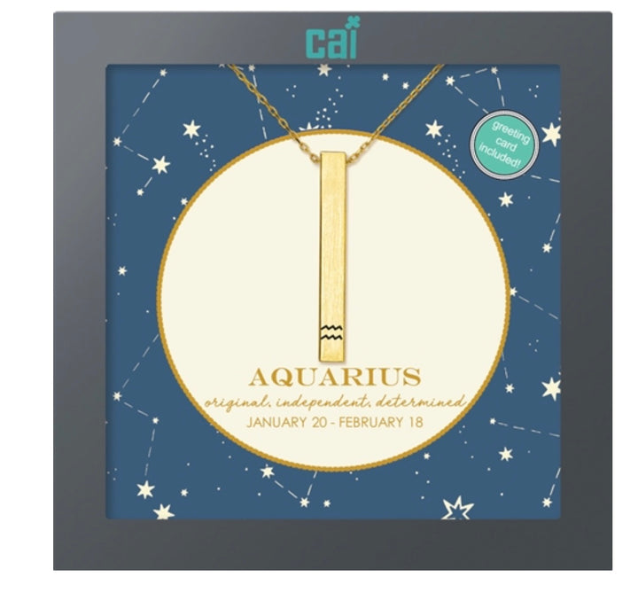 Secret Message Constellation Necklace