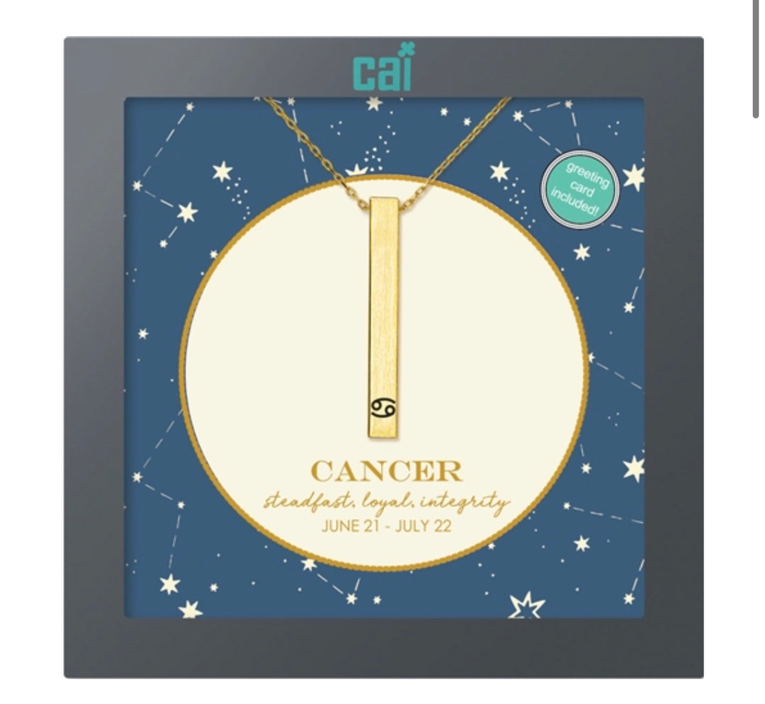 Secret Message Constellation Necklace