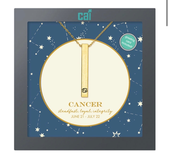 Secret Message Constellation Necklace